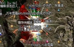 新开传奇私服